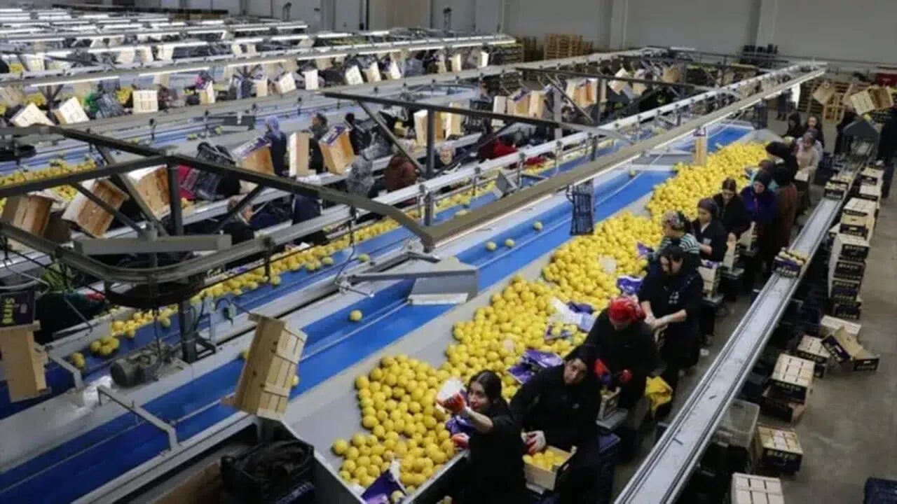 Yaş meyve sebze ihracatında 2026 lideri kim oldu? Rusya’nın tahtını kim devraldı?